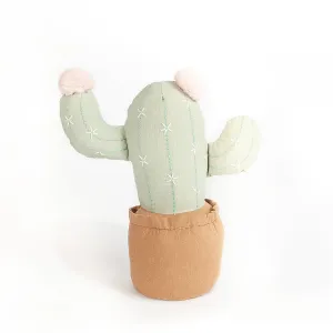 Cactus Shelf Sitter